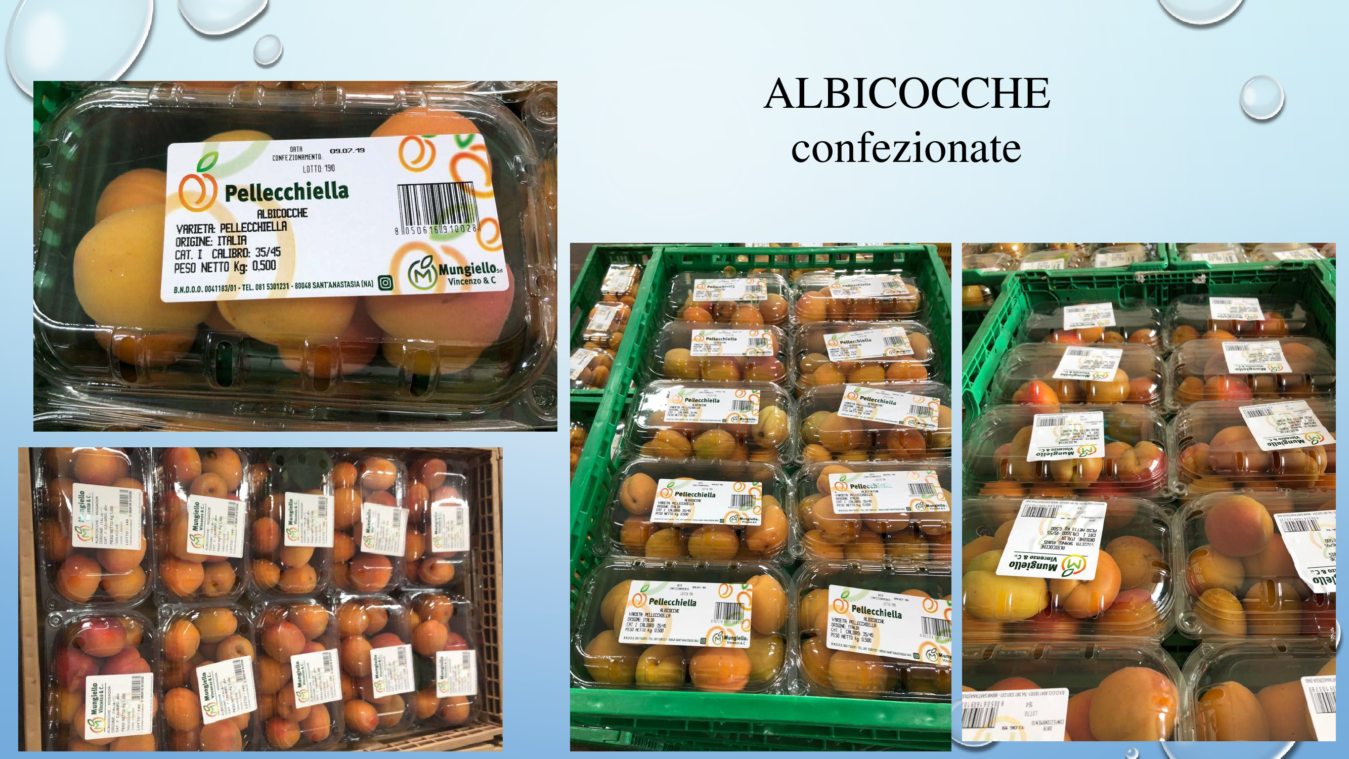  albicocche confezionate